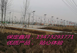 太阳能电池板,雄安新区太阳能路灯,太阳能路灯厂家